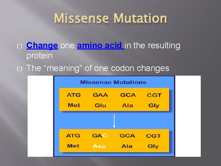 Missense Mutation � � Change one amino acid in the resulting protein The “meaning”