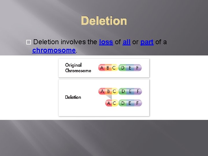 Deletion � Deletion involves the loss of all or part of a chromosome. 