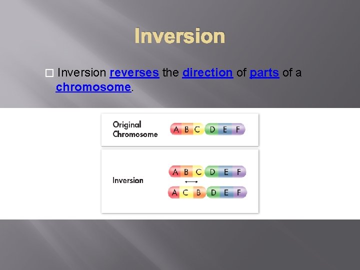 Inversion � Inversion reverses the direction of parts of a chromosome. 