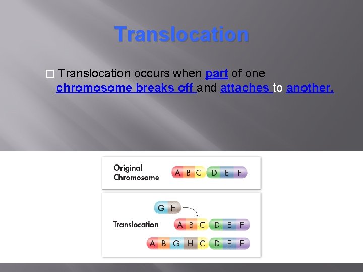 Translocation � Translocation occurs when part of one chromosome breaks off and attaches to