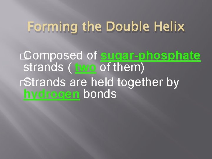 Forming the Double Helix �Composed of sugar-phosphate strands ( two of them) �Strands are