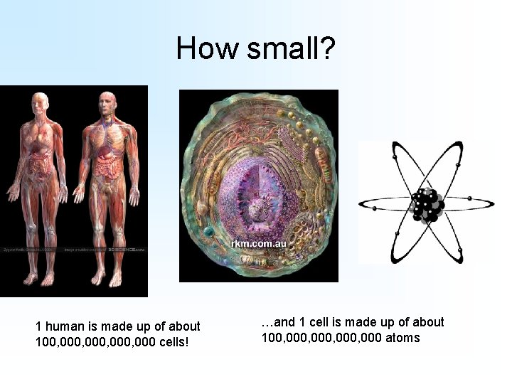 How small? 1 human is made up of about 100, 000, 000 cells! …and