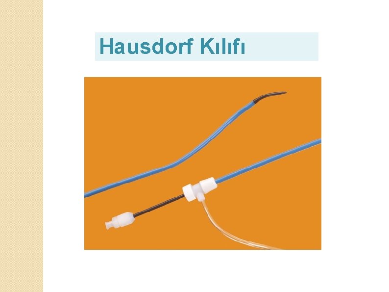 Hausdorf Kılıfı 