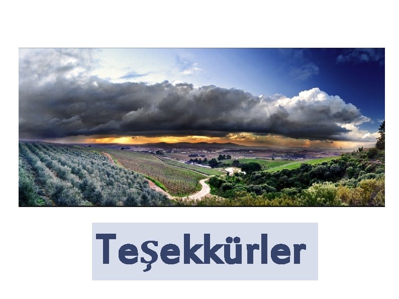 Teşekkürler 