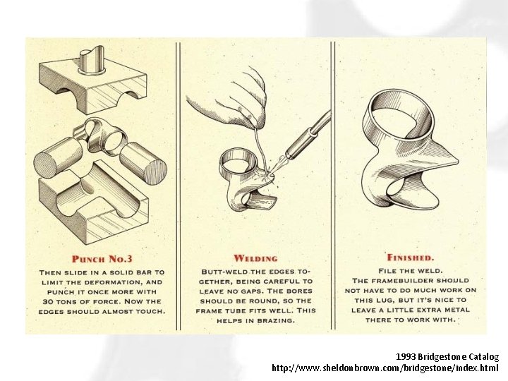 1993 Bridgestone Catalog http: //www. sheldonbrown. com/bridgestone/index. html 