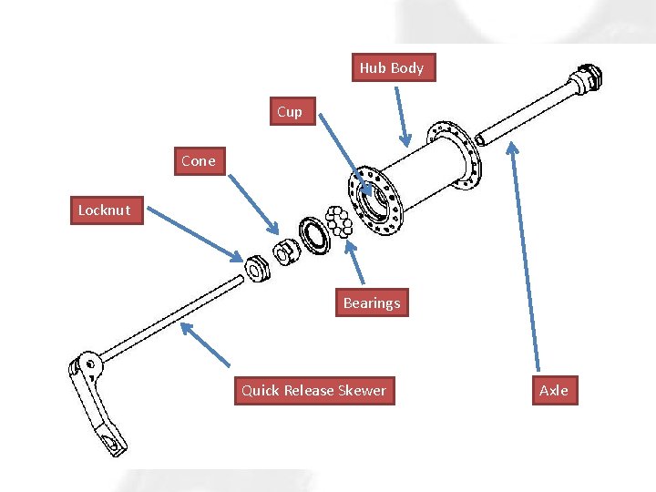 Hub Body Cup Cone Locknut Bearings Quick Release Skewer Axle 