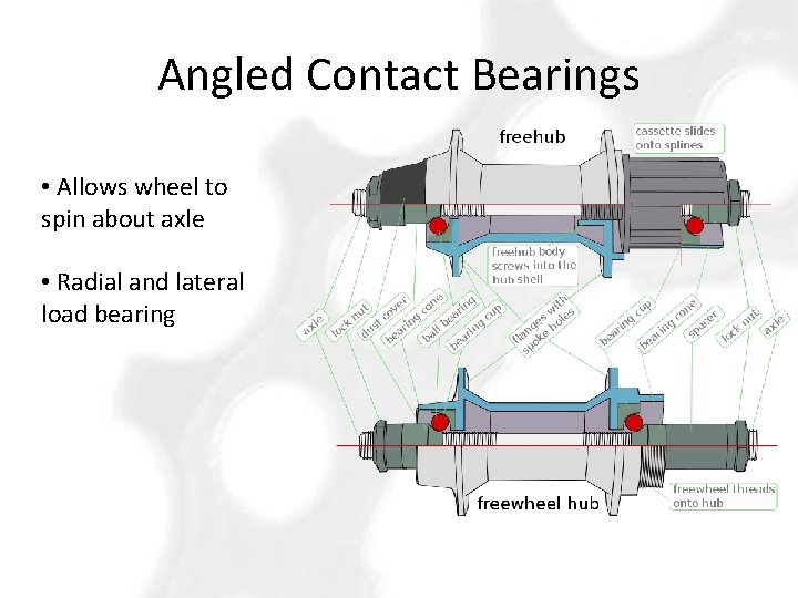 Angled Contact Bearings • Allows wheel to spin about axle • Radial and lateral