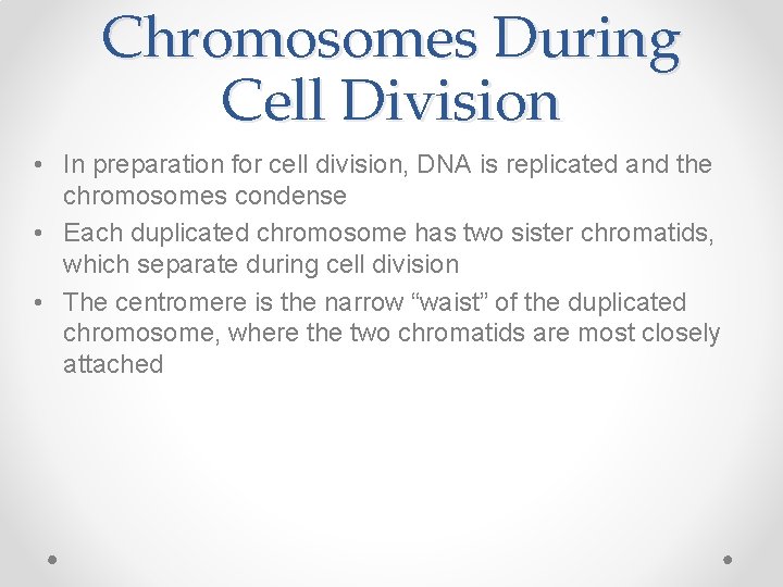 Chromosomes During Cell Division • In preparation for cell division, DNA is replicated and