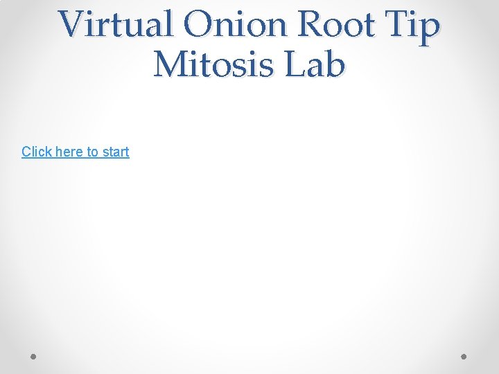 Virtual Onion Root Tip Mitosis Lab Click here to start 