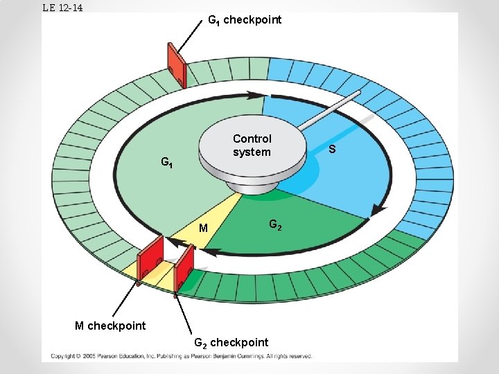 LE 12 -14 G 1 checkpoint Control system G 1 M M checkpoint G