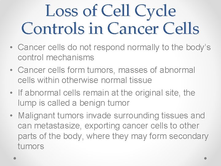 Loss of Cell Cycle Controls in Cancer Cells • Cancer cells do not respond