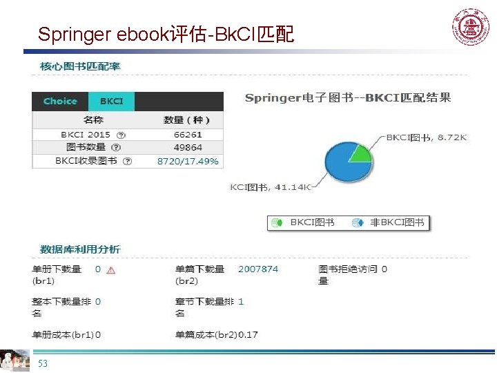 Springer ebook评估-Bk. CI匹配 53 