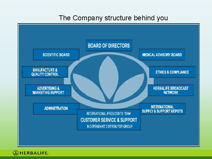 The Company structure behind you 