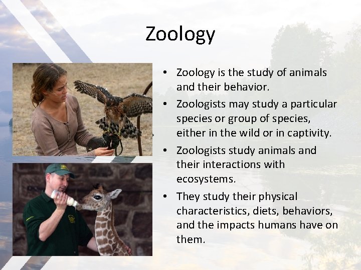 Zoology • Zoology is the study of animals and their behavior. • Zoologists may