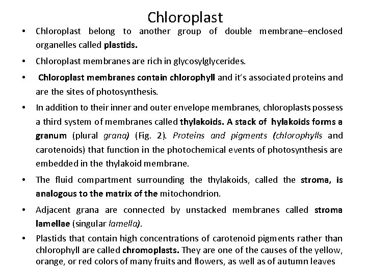 Chloroplast • Chloroplast belong to another group of double membrane–enclosed organelles called plastids. •