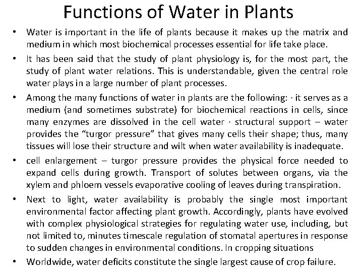 Functions of Water in Plants • Water is important in the life of plants