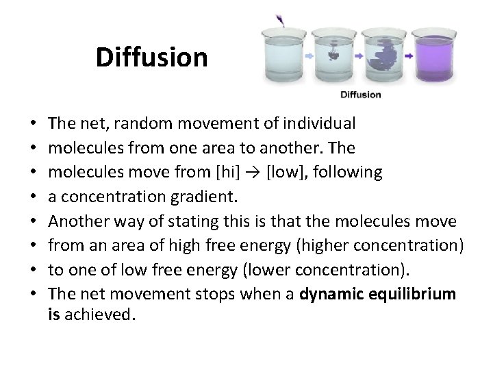 Diffusion • • The net, random movement of individual molecules from one area to