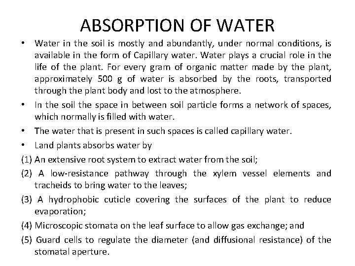 ABSORPTION OF WATER • Water in the soil is mostly and abundantly, under normal