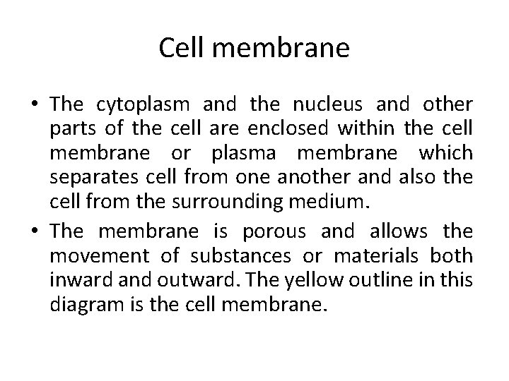 Cell membrane • The cytoplasm and the nucleus and other parts of the cell