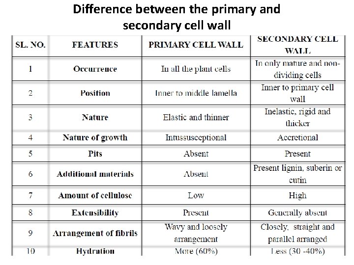 Difference between the primary and secondary cell wall 