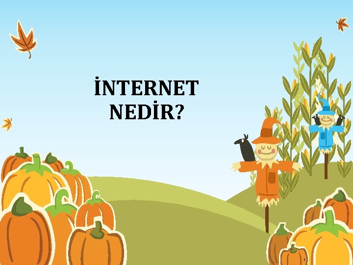 İNTERNET NEDİR? 2 