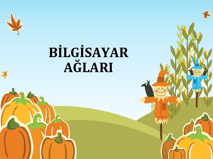 BİLGİSAYAR AĞLARI 5 