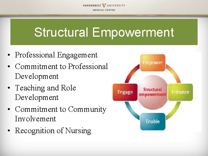 Structural Empowerment • Professional Engagement • Commitment to Professional Development • Teaching and Role