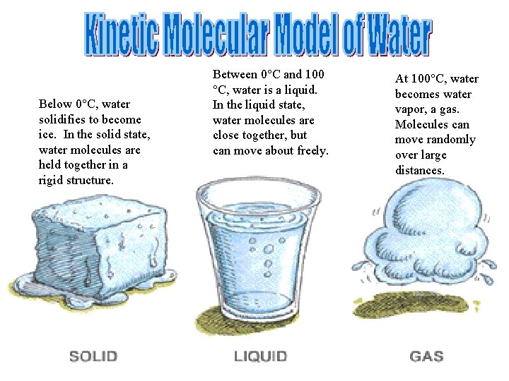 Below 0°C, water solidifies to become ice. In the solid state, water molecules are