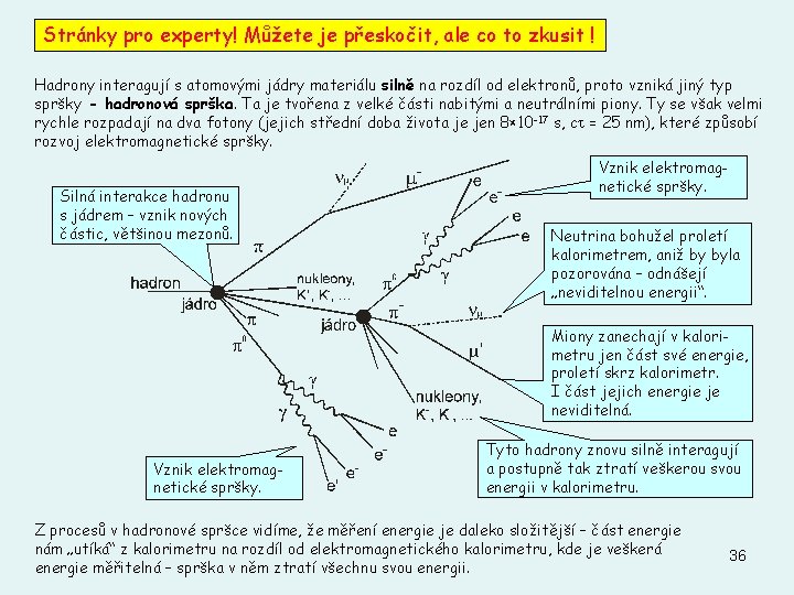 Stránky pro experty! Můžete je přeskočit, ale co to zkusit ! Hadrony interagují s