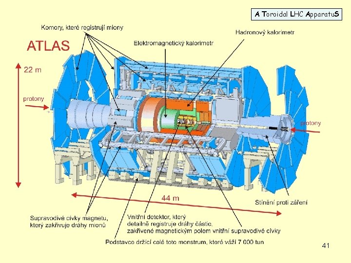 A Toroidal LHC Apparatu. S 41 
