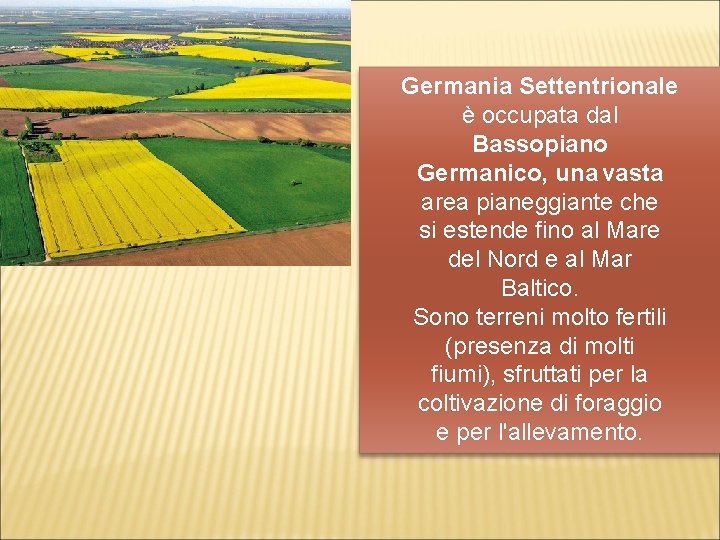 Germania Settentrionale è occupata dal Bassopiano Germanico, una vasta area pianeggiante che si estende Germania Settentrionale è occupata dal Bassopiano Germanico, una vasta area pianeggiante che si estende