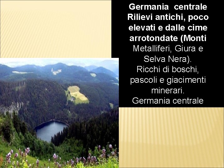 Germania centrale Rilievi antichi, poco elevati e dalle cime arrotondate (Monti Metalliferi, Giura e Germania centrale Rilievi antichi, poco elevati e dalle cime arrotondate (Monti Metalliferi, Giura e