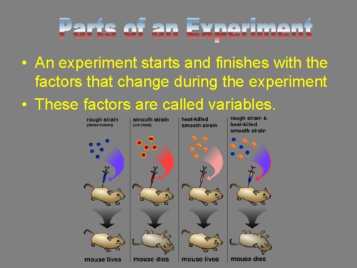  • An experiment starts and finishes with the factors that change during the