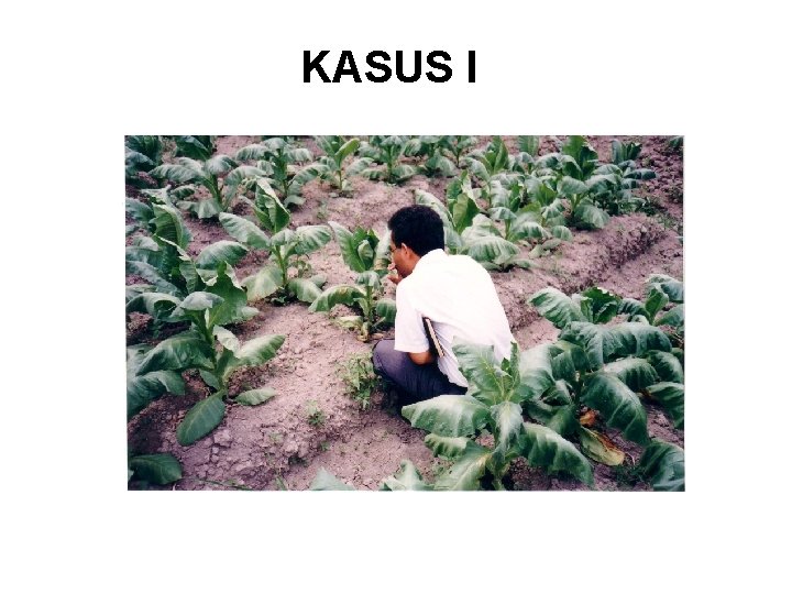 KASUS I 