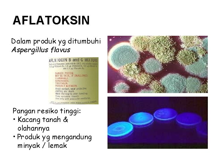 AFLATOKSIN Dalam produk yg ditumbuhi Aspergillus flavus Pangan resiko tinggi: • Kacang tanah &