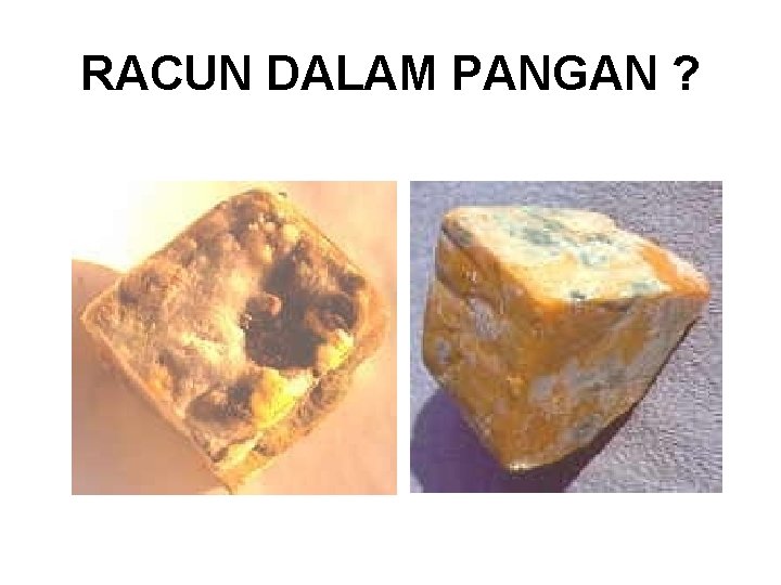 RACUN DALAM PANGAN ? 