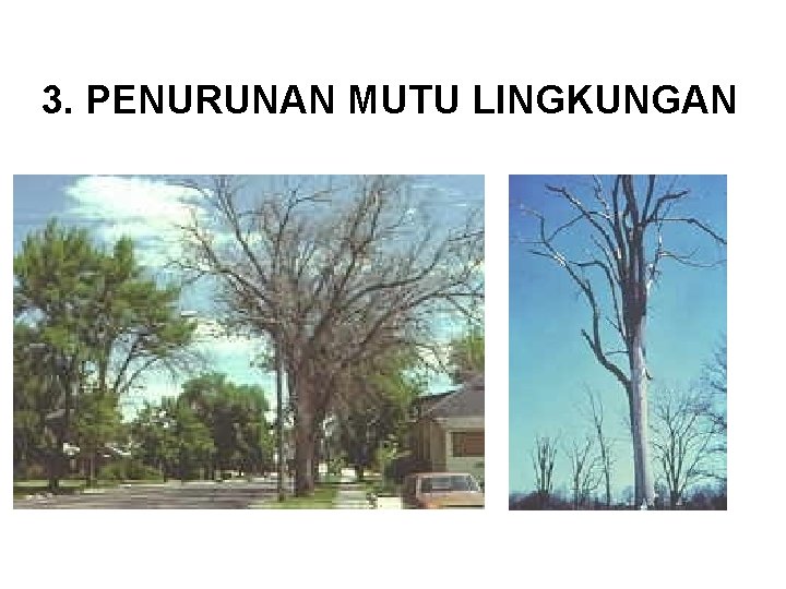 3. PENURUNAN MUTU LINGKUNGAN 