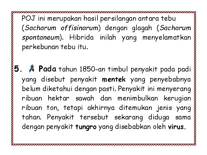 POJ ini merupakan hasil persilangan antara tebu (Sacharum offisinarum) dengan glagah (Sacharum spontaneum). Hibrida