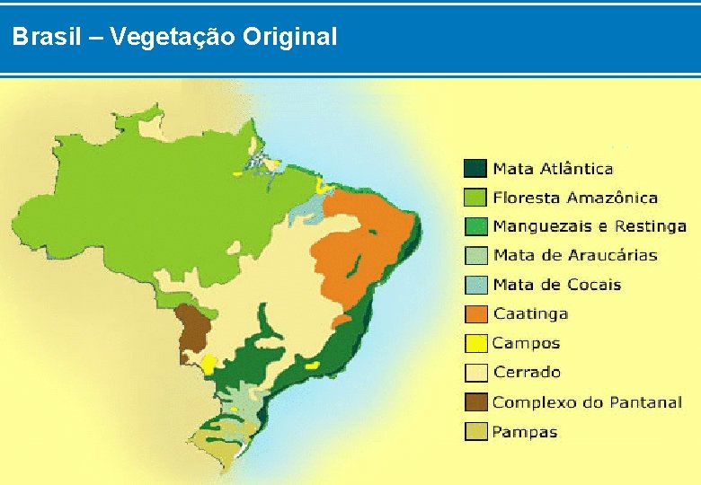Brasil – Vegetação Original 
