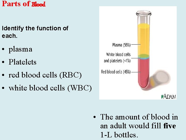 Parts of Blood Identify the function of each. • plasma • Platelets • red