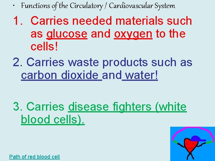  • Functions of the Circulatory / Cardiovascular System 1. Carries needed materials such