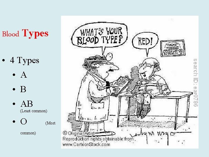 Blood Types • 4 Types • A • B • AB (Least common) •