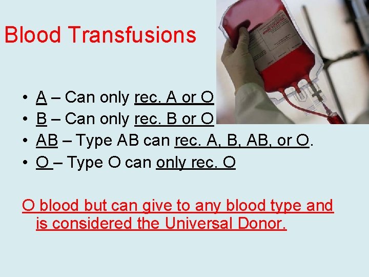 Blood Transfusions • • A – Can only rec. A or O B –