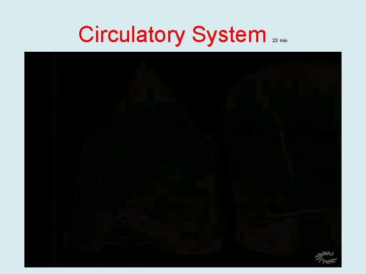Circulatory System 23 min 
