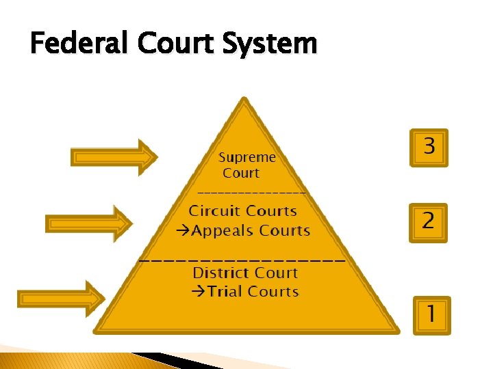 Federal Court System 