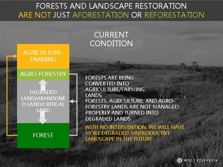 FORESTS AND LANDSCAPE RESTORATION ARE NOT JUST AFORESTATION OR REFORESTATION CURRENT CONDITION AGRICULTUREFARMING AGRO-FORESTRY