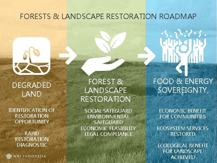 FORESTS & LANDSCAPE RESTORATION ROADMAP DEGRADED LAND IDENTIFICATION OF RESTORATION OPPORTUNITY RAPID RESTORATION DIAGNOSTIC