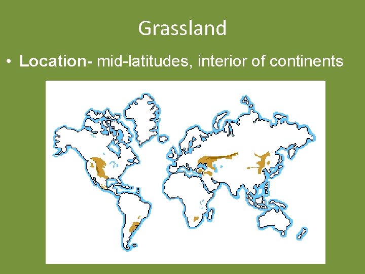 Grassland • Location- mid-latitudes, interior of continents 