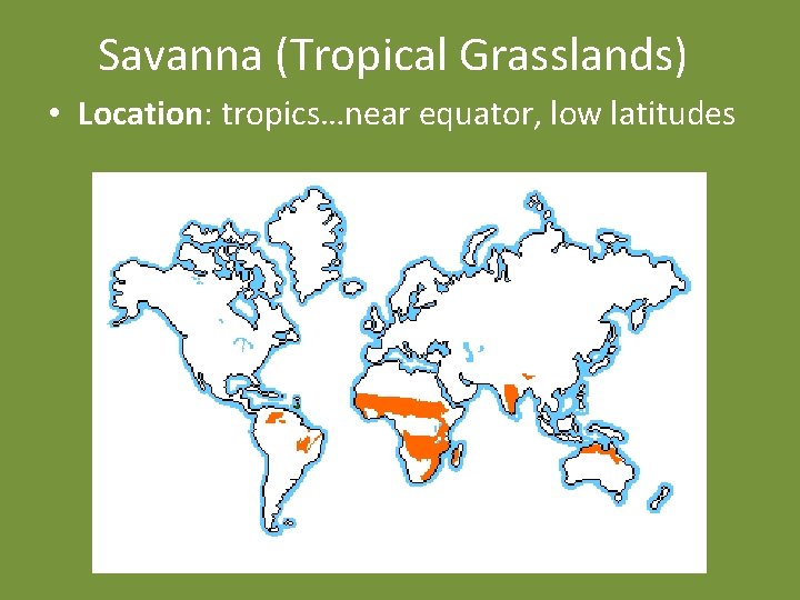 Savanna (Tropical Grasslands) • Location: tropics…near equator, low latitudes 