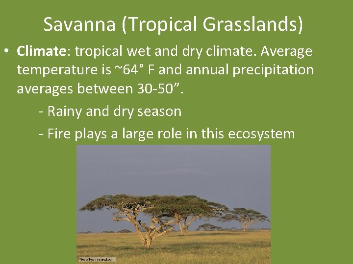 Savanna (Tropical Grasslands) • Climate: tropical wet and dry climate. Average temperature is ~64°